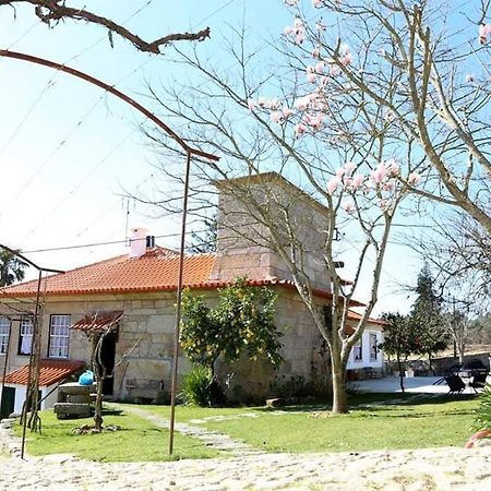 Quinta De Vila Verde- Paixao Ancestral, Turismo Rural Marco de Canavezes エクステリア 写真