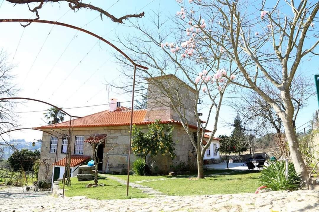 Quinta De Vila Verde- Paixao Ancestral, Turismo Rural Marco de Canavezes エクステリア 写真